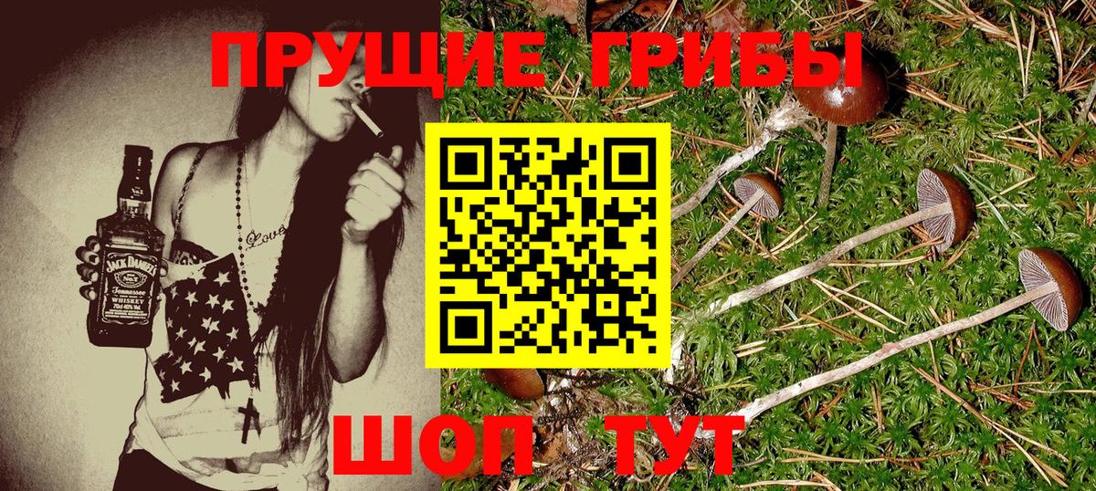 Псилоцибиновые грибы мухоморы Губкинский